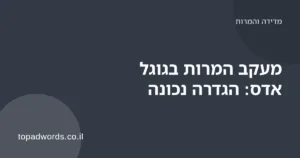 מסך Google Ads עם דוח המרות וגרף של פניות לפי קמפיין